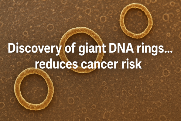Descubrimiento de Anillos Gigantes de ADN… Reduce el Riesgo de Cáncer